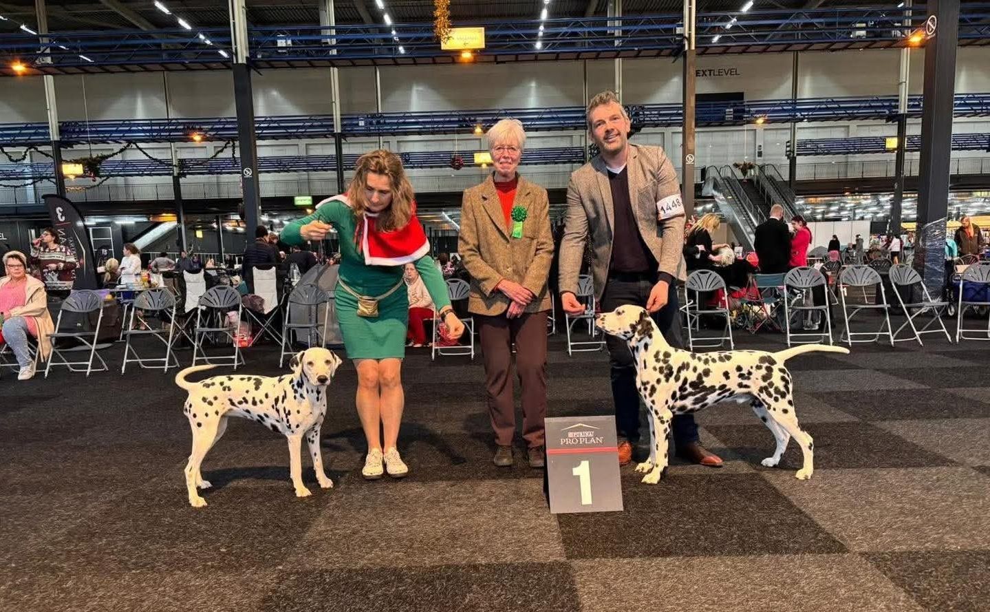 CAC/CACIB KERSTSHOW 21-12-2025