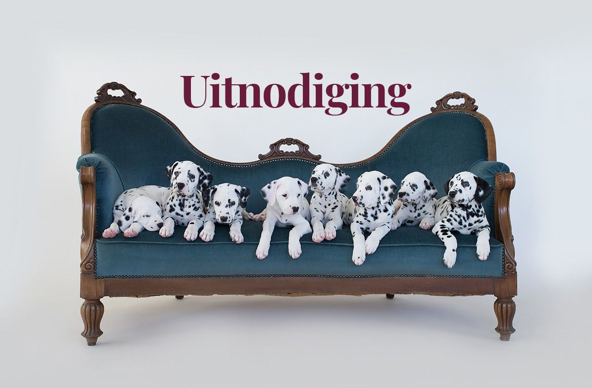 Uitnodiging algemene vergadering zaterdag 8 november 2025